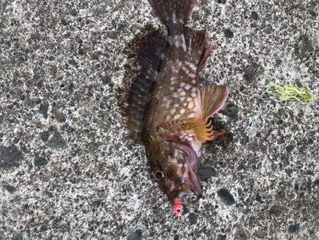 爆風の中のライトゲーム